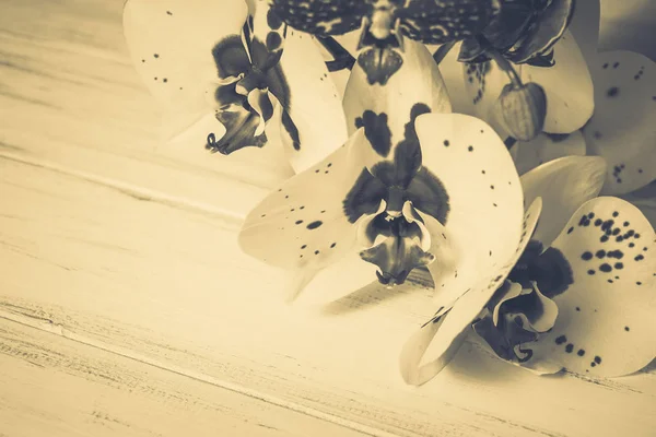 Ahşap beyaz zemin üzerine güzel çiçekler