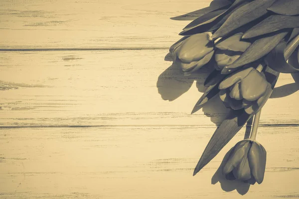 Lale bir tahta üzerinde arka plan