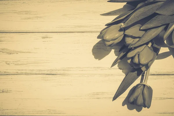 Lale bir tahta üzerinde arka plan