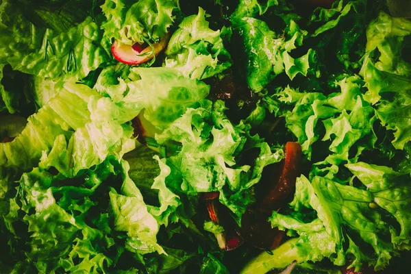 Sebzeli yeşil salata