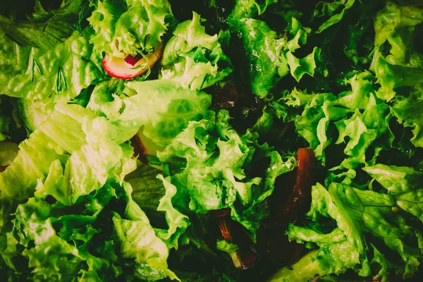 Sebzeli yeşil salata