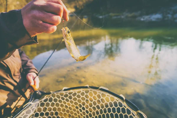Bir balıkçı tarafından alabalık yakaladı