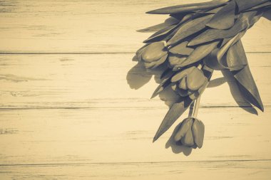 Lale bir tahta üzerinde arka plan