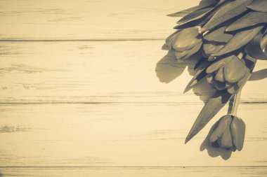 Lale bir tahta üzerinde arka plan