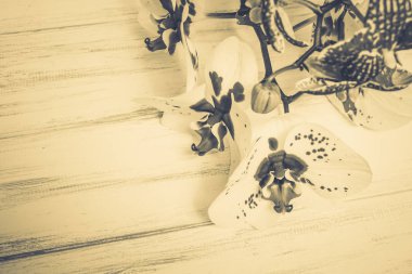 Ahşap beyaz zemin üzerine güzel çiçekler