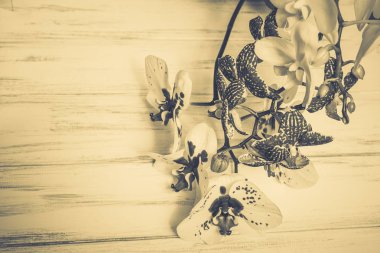 Ahşap beyaz zemin üzerine güzel çiçekler