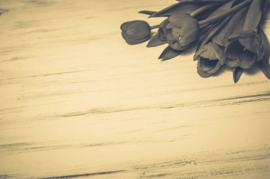 Ahşap beyaz zemin üzerine güzel çiçekler