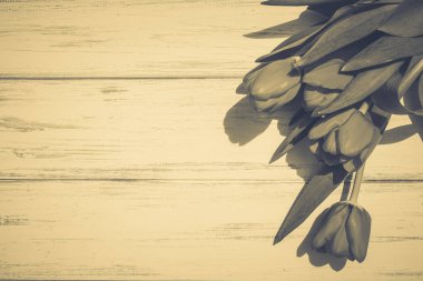 Lale bir tahta üzerinde arka plan