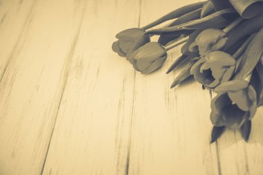 Lale bir tahta üzerinde arka plan