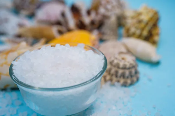 Fondo Conchas Marinas Sobre Fondo Azul — Foto de Stock