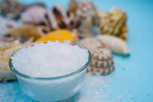 Fondo Conchas Marinas Sobre Fondo Azul — Foto de Stock