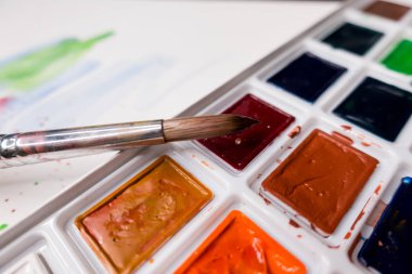 Araçlar Illustrator. Boyalar ve albüm