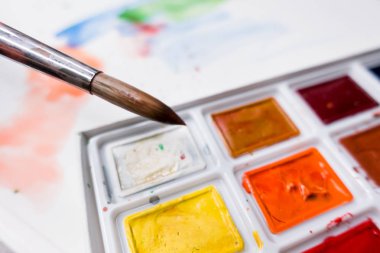 Araçlar Illustrator. Boyalar ve albüm