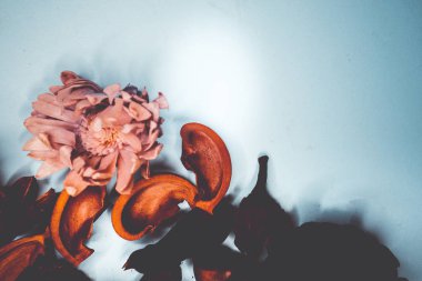 Dekoratif spa arka plan resmi