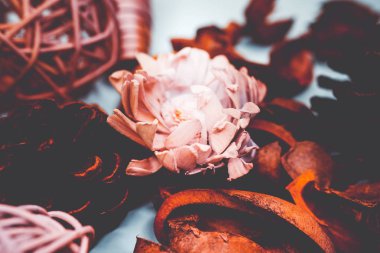 Dekoratif spa arka plan resmi