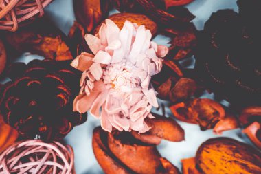 Dekoratif spa arka plan resmi