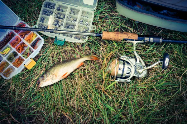 Concepto Pesca Aparejos Caña Pescar Peces Hierba —  Fotos de Stock