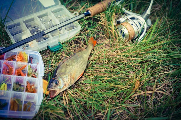 Concepto Pesca Aparejos Caña Pescar Peces Hierba — Foto de Stock