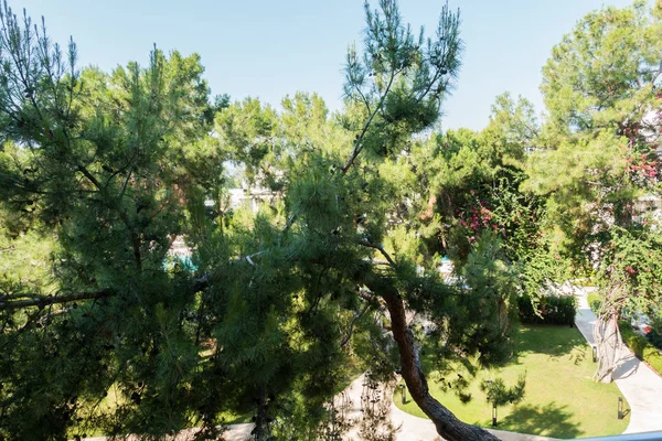 Güzel tatil beldesi. Yeşil ve çiçekler