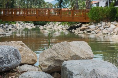 Kıyıdaki güzel hamak