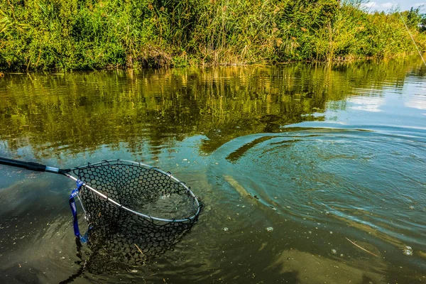 Trout Fishing Lakes — 图库照片