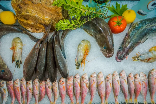 Peixe Gelo Restaurante Peixe — Fotografia de Stock