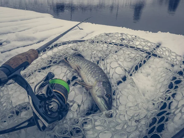 Pike fishing on the lake. Fishing recreation