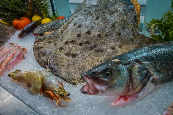 Fresh fish in the sea restaurant