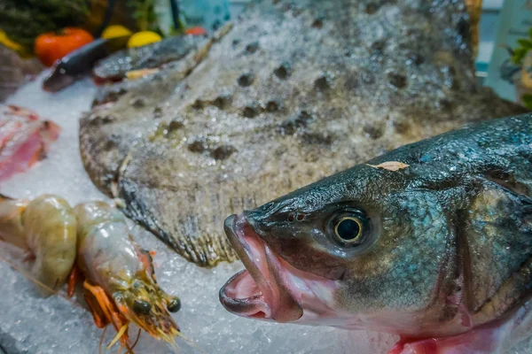 Fresh fish in the sea restaurant