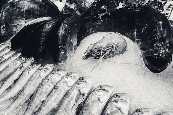 Αλιεία Στον Πάγο Ένα Εστιατόριο Ψάρι — Φωτογραφία Αρχείου