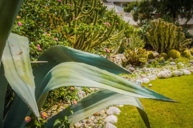 Güzel tatil beldesi. Yeşil ve çiçekler