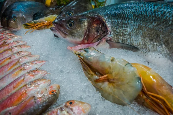 Pescado Fresco Restaurante Mar — Foto de Stock