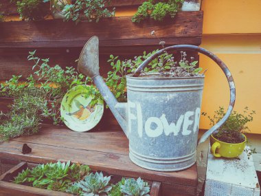 Bahçe Sulama-can çiçekli