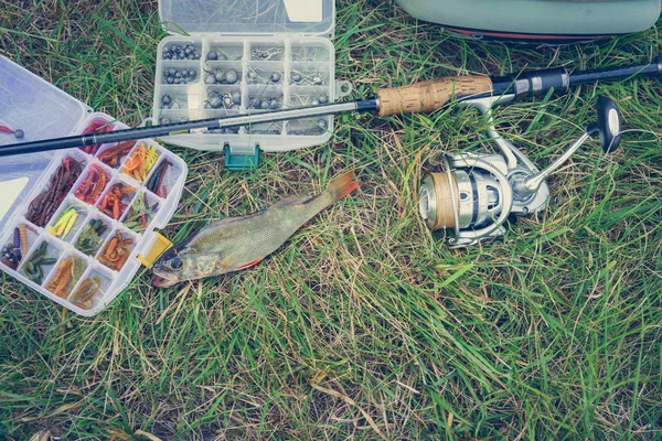 Conceito Pesca Atacar Vara Pesca Peixe Grama — Fotografia de Stock