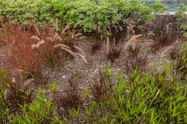 Deniz kenarındaki güzel resort peyzaj