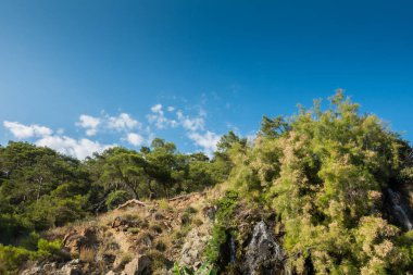 Deniz kenarındaki güzel resort peyzaj
