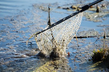 Gölde balık avlamak. Balıkçılık eğlencesi