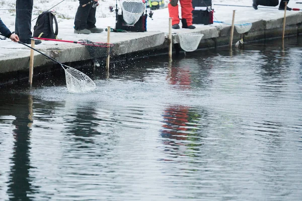 Ørretfiske Sjøen Fiskereparasjon – stockfoto