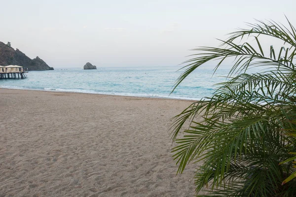 Beautiful Seaside Resort Landscaping — Stock Photo, Image