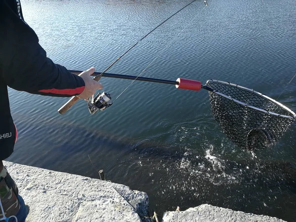 Pesca Lúcio Lago Recreação Pesca — Fotografia de Stock