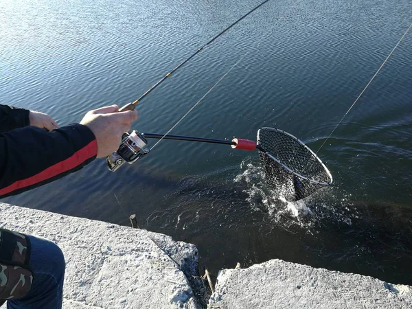 Pesca Del Luccio Sul Lago Attività Ricreative Pesca — Foto Stock