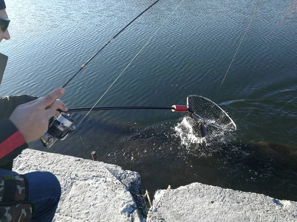 Pesca Lúcio Lago Recreação Pesca — Fotografia de Stock