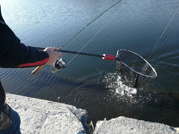 Pike Fishing Lake Fishing Recreation — Stock Photo, Image