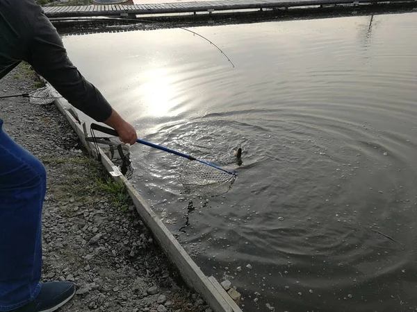 Pesca Lúcio Lago Recreação Pesca — Fotografia de Stock