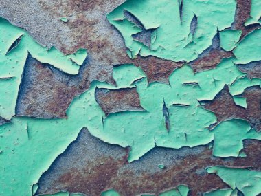 beyaz badanalı duvar-dekorasyon elemanları