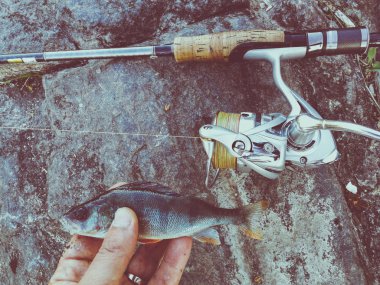 balıkçı yem için küçük bir balık yakaladı