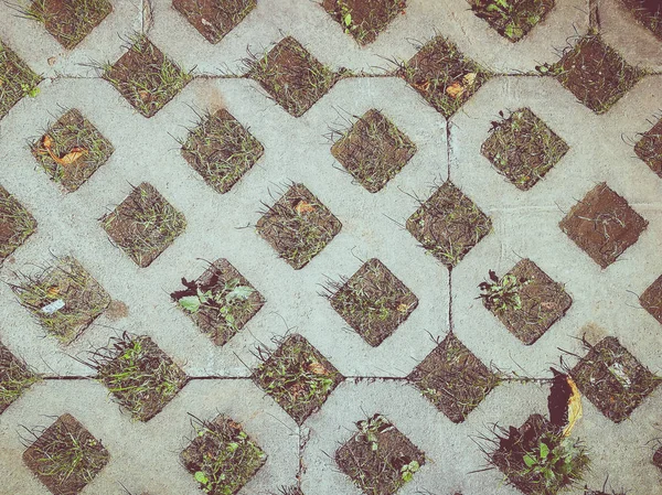 Hintergrund Beton Mit Gras — Stockfoto