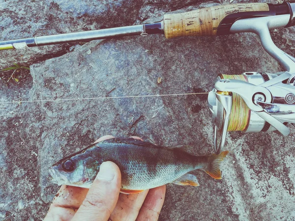 Balıkçı Yem Için Küçük Bir Balık Yakaladı — Stok fotoğraf