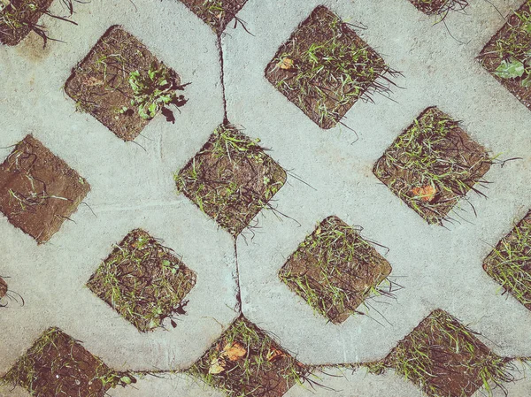 Fundo Concreto Com Grama — Fotografia de Stock