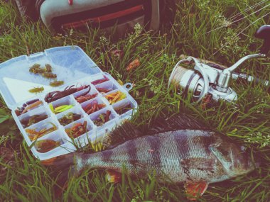 Balık tutma kavramı: balık, olta, yem